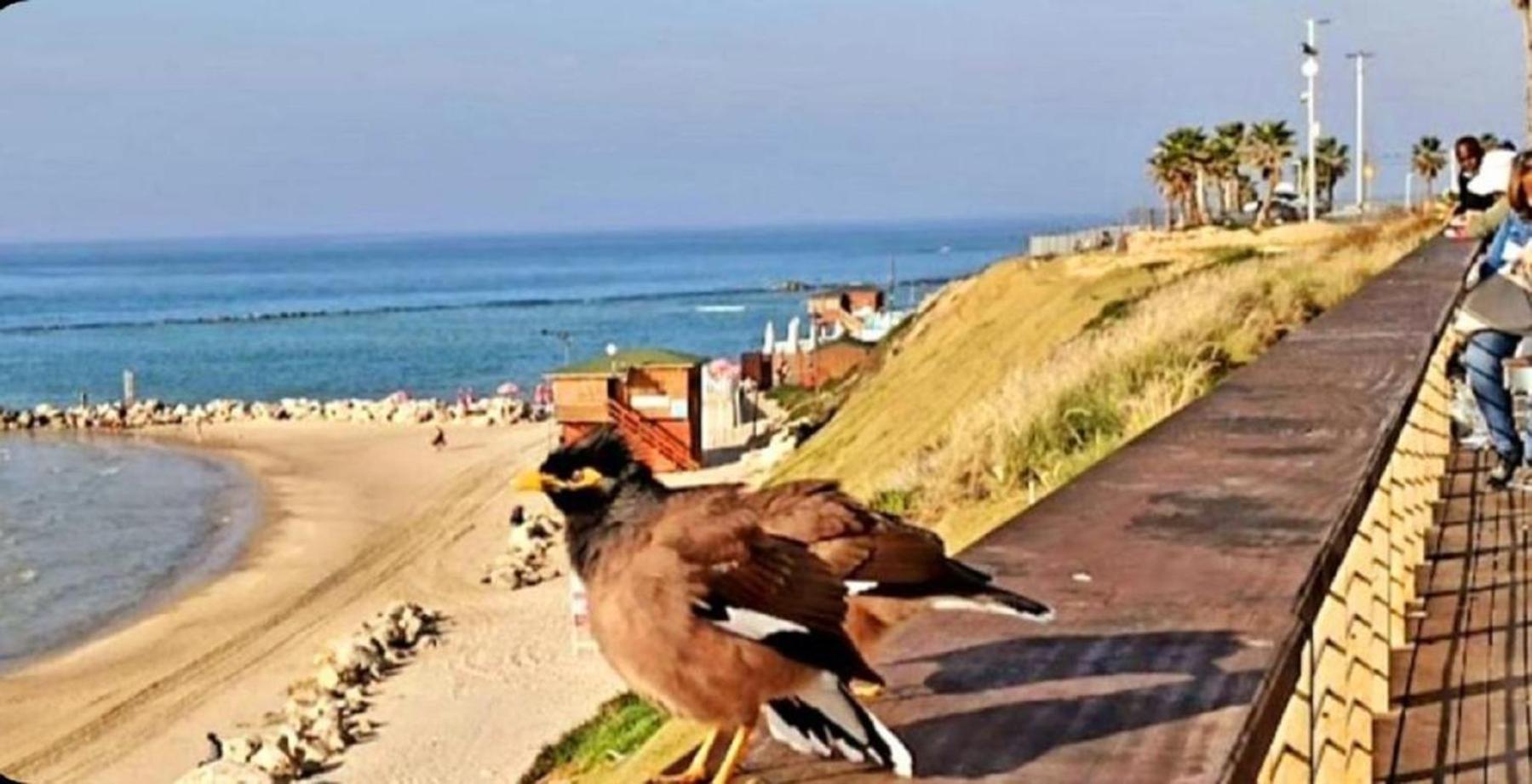 Motel Hofim Bat Yam Ngoại thất bức ảnh